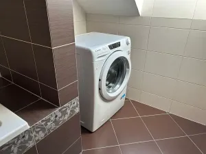 Pronájem bytu 3+kk, Praha - Vinohrady, Lublaňská, 78 m2