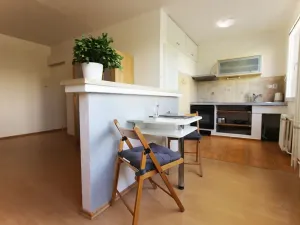 Pronájem bytu 1+kk, Teplice, Alejní, 31 m2