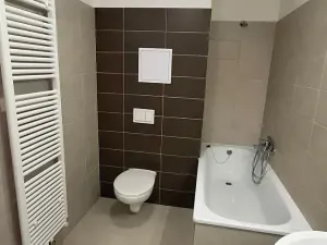 Pronájem bytu 1+kk, Plzeň, Železniční, 43 m2