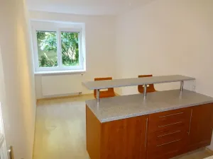 Pronájem bytu 1+1, Brno, Metodějova, 45 m2