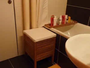 Prodej bytu 1+1, Brno, Palackého třída, 32 m2