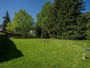 Prodej rodinného domu, Družec, V Zátiší, 289 m2