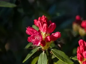 Prodej rodinného domu, Družec, V Zátiší, 289 m2