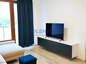Pronájem bytu 2+kk, České Budějovice, U Lučního jezu, 61 m2