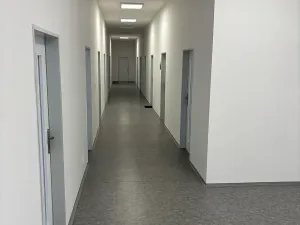 Pronájem kanceláře, Praha - Libeň, Sokolovská, 20 m2