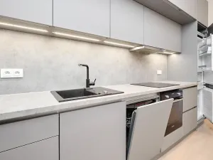 Prodej bytu 1+kk, Praha - Žižkov, Hartigova, 45 m2