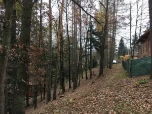 Prodej chaty, Doudleby, 80 m2