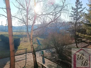 Prodej bytu 2+1, Mladá Boleslav, Jana Palacha, 63 m2