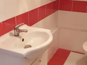 Pronájem bytu 1+1, Teplice, Javorová, 45 m2