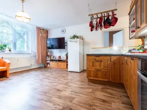 Pronájem bytu 4+kk, Litoměřice, Družstevní, 64 m2