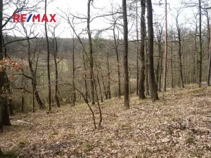 Prodej chaty, Plasy, 50 m2