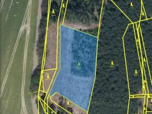 Dražba lesa, Veliny, 5028 m2