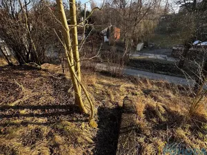 Prodej chalupy, Sloupnice, 70 m2