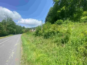 Dražba pozemku, Malá Bystřice, 933 m2