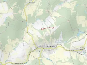 Dražba lesa, Bojkovice, 420 m2