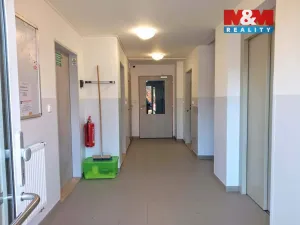 Pronájem bytu 2+kk, Ostrov, Severní, 56 m2