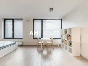 Pronájem bytu 1+kk, Praha - Karlín, Sokolovská, 40 m2