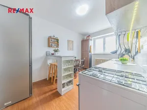 Prodej bytu 2+1, Slaný, Smetáčkova, 50 m2