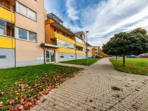 Pronájem bytu 1+kk, Praha - Kyje, Sicherova, 33 m2