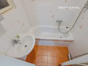 Pronájem bytu 1+1, Praha - Nusle, Na Jezerce, 53 m2