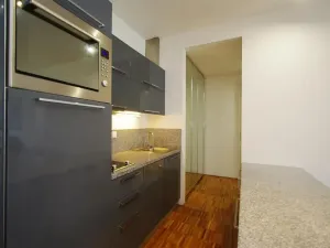 Pronájem bytu 2+kk, Praha - Žižkov, Prokopova, 58 m2