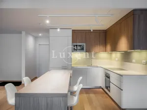 Pronájem bytu 4+kk, Praha - Smíchov, Holečkova, 178 m2