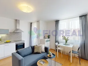 Pronájem bytu 1+kk, Praha - Žižkov, Rečkova, 32 m2