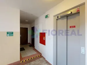 Pronájem bytu 1+kk, Praha - Žižkov, Rečkova, 32 m2