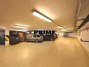 Pronájem bytu 6+kk a větší, Praha - Vinohrady, Ibsenova, 253 m2