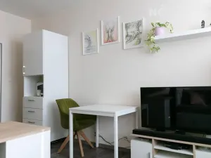 Pronájem bytu 1+kk, Zlín, U Trojáku, 27 m2