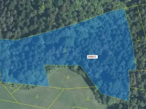 Dražba lesa, Lačnov, 15135 m2