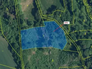 Dražba lesa, Benešov u Semil, 6213 m2