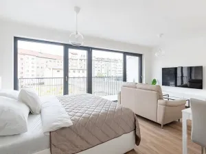 Pronájem bytu 1+kk, Brno - Veveří, Lidická, 52 m2