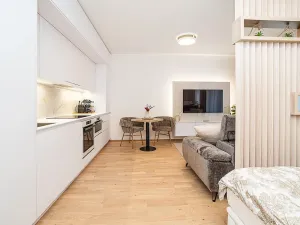 Pronájem bytu 1+kk, Praha - Hodkovičky, Šenácká, 60 m2