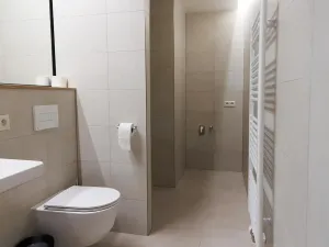 Pronájem bytu 2+kk, Plzeň - Východní Předměstí, Pallova, 66 m2