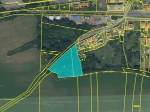 Prodej pozemku pro bydlení, Horšovský Týn, Železniční, 4638 m2