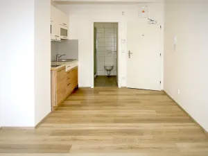 Pronájem bytu 1+kk, Brno, Lidická, 23 m2