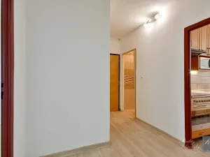 Prodej bytu 2+1, Ústí nad Labem, Hluboká, 60 m2