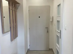 Pronájem bytu 1+1, Příbram, Ant. Dvořáka, 38 m2