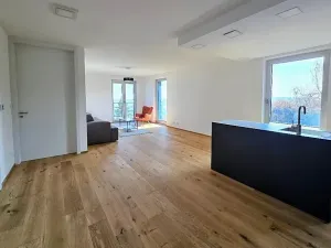 Prodej bytu 3+kk, Praha - Smíchov, U Dívčích hradů, 123 m2