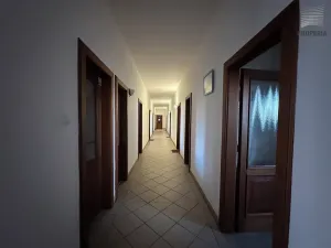 Pronájem kanceláře, Brno, Viniční, 19 m2