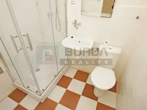 Pronájem bytu 1+1, Neratovice, 27 m2