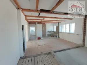 Prodej půdního prostoru, Praha - Dejvice, České družiny, 106 m2