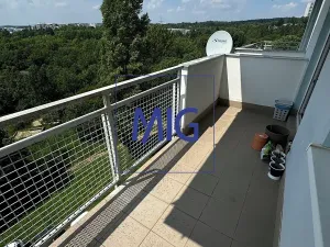 Pronájem bytu 1+kk, Brno, Tomečkova, 44 m2