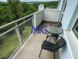 Pronájem bytu 1+kk, Brno, Tomečkova, 44 m2