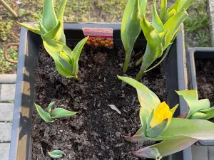 Prodej bytu 1+1, Praha - Michle, U plynárny, 37 m2