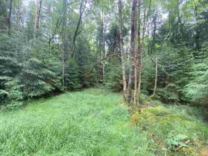 Prodej pole, Krásná, 10460 m2