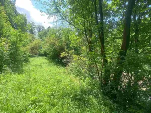 Prodej pozemku, Malá Bystřice, 933 m2