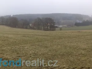 Prodej pole, Zvěstov, 51947 m2