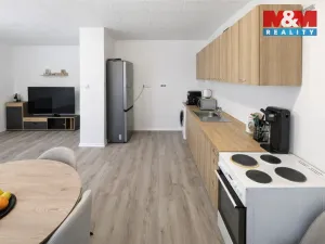 Pronájem bytu 3+1, Most, Františka Malíka, 67 m2